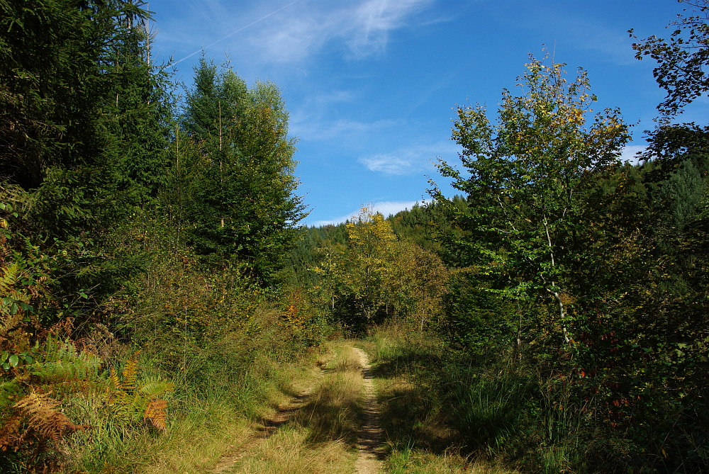 9 10 ein-wunderschoener-warmer-tag-321c9697-36ea-4b5e-a947-015180bb4683