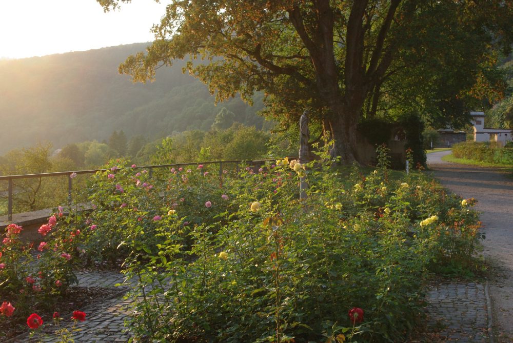 9 IMGP9050b-s13s7-fertig